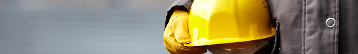Construction Litigation header graphic