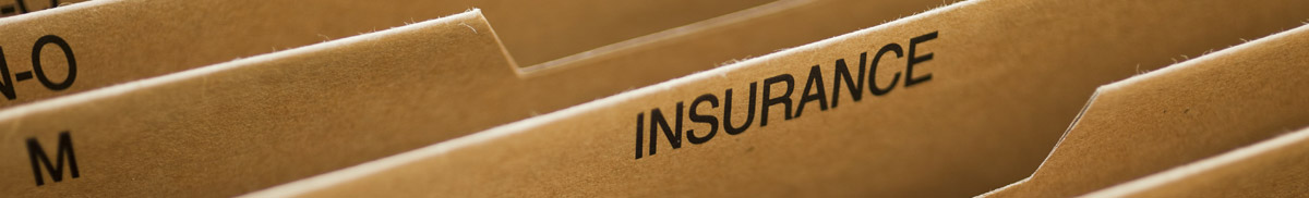 Insurance Coverage and Litigation header graphic
